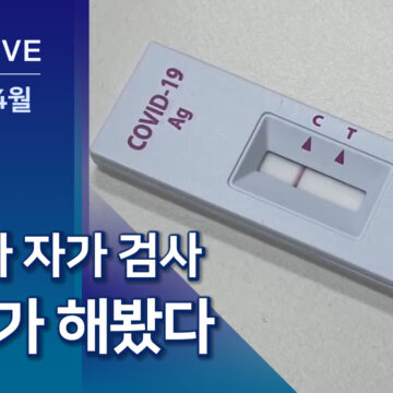 서울교육청 자가검사 시범도입…기자가 직접 해봤다