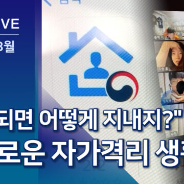 남 일 아닌 코로나…심보선 기자의 슬기로운 자가격리