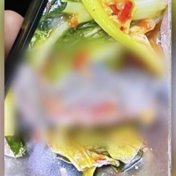 교육부, ‘개구리 급식’ 관련 열무김치 제조업체 전수점검